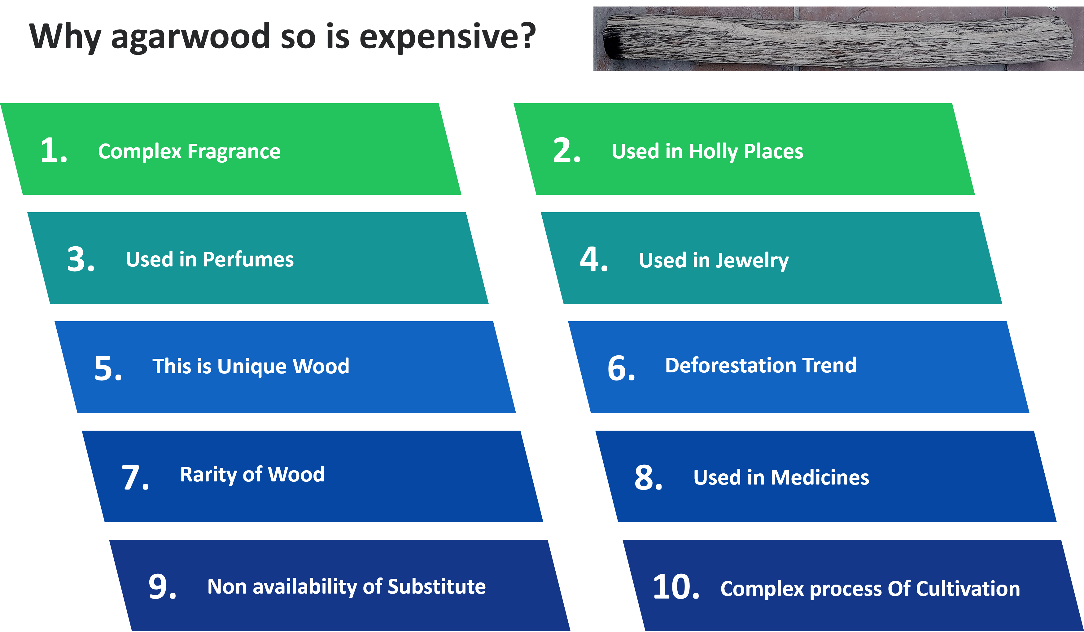 Why is Oud SO Expensive? Top 10 Reasons That Might Surprise You - Agarwood